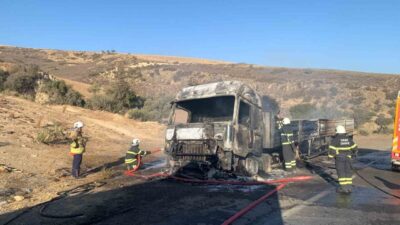 Hatay’da seyir halindeyken alev alan tırın sürücüsü göz yaşlarına boğuldu.