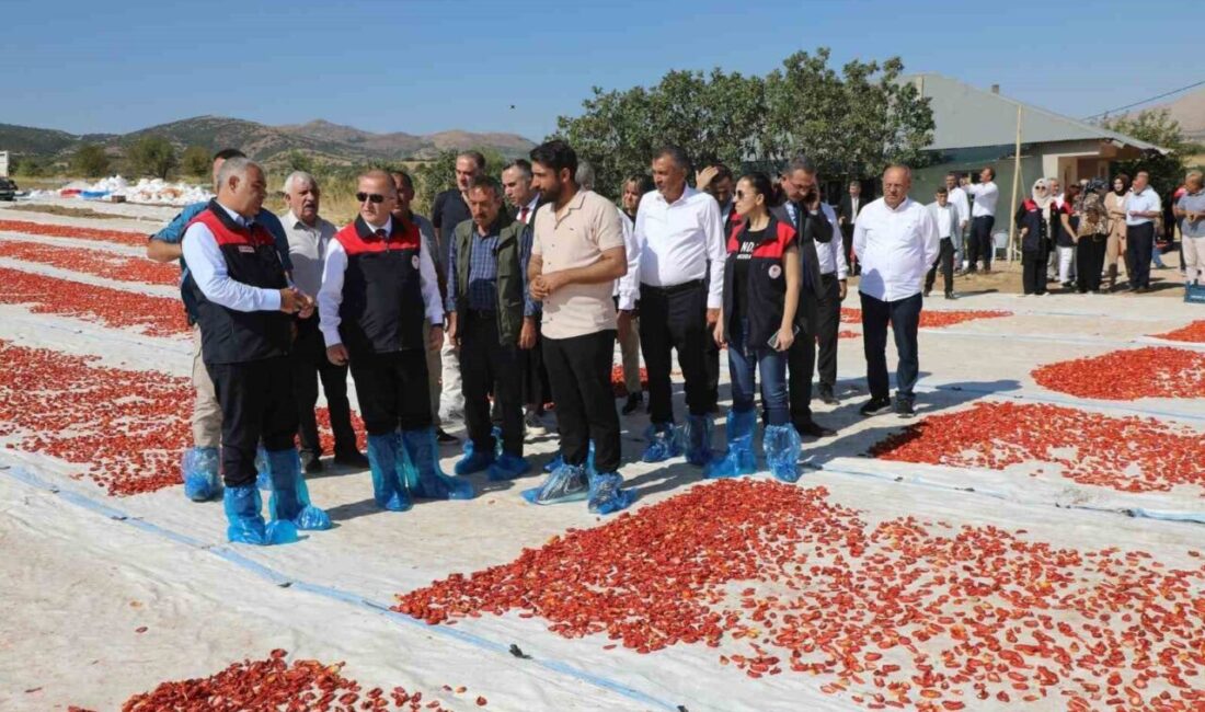 Elazığ’da 23 bin 587 dekar alanda 100 bin 352 ton