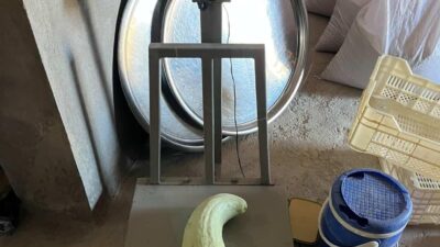 Elazığ’da yaklaşık 4,5 kilo ağırlığındaki acur görenleri hayrete düşürdü. Elazığ’ın