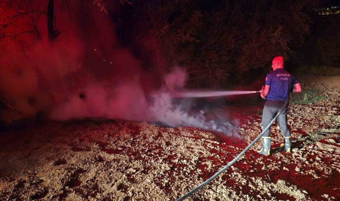 Elazığ’ın Kovancılar ilçesinde çıkan bahçe yangını itfaiye ekipleri tarafından söndürüldü.