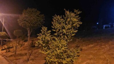 Elazığ’da kuvvetli rüzgar gece saatlerinde etkisini sürdürüyor. Elazığ’da kuvvetli rüzgar