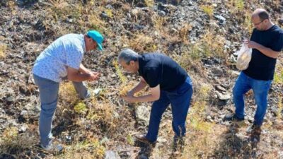 Elazığ Doğa Koruma ve Milli Parklar Müdürlüğü tarafından maden çayı