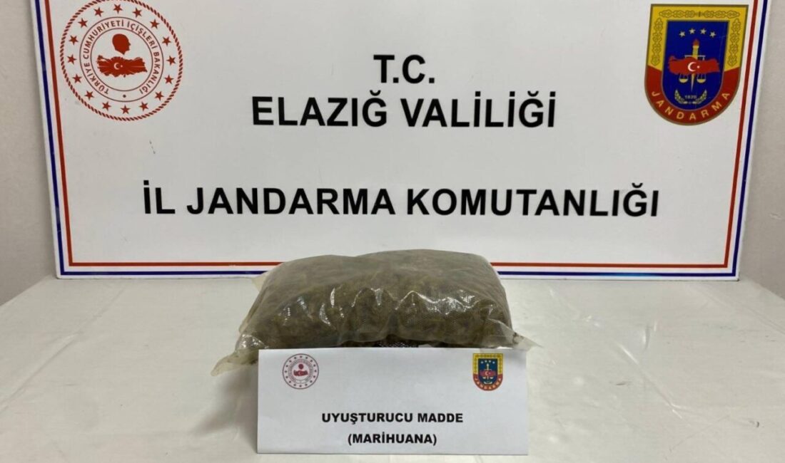 Elazığ’da uyuşturucuyla mücadele kapsamında jandarma ekipler tarafından yapılan çalışmada 2