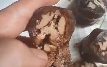 Elazığ’da bir vatandaşın aldığı orciğin içerisinden böcek çıktı. Şahıs o