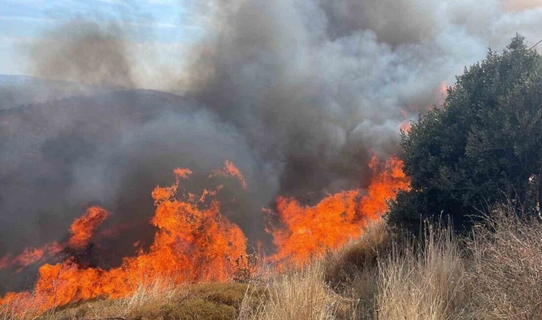 Erdek’te 100 dönümlük alanda yangın Balıkesir’in Erdek ilçesi Karşıyaka Mahallesi’nde tersane üst tarafında otluk ve