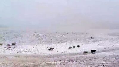 Erzurum’un İspir ilçesinde bulunan Yedigöller’e mevsimin ilk karı yağdı. Sıcaklıkların