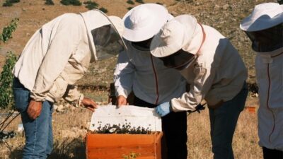 Erzurum İl Tarım Ve Orman Müdürü Alpaslan Kenger, Erzurum’un arıcılık