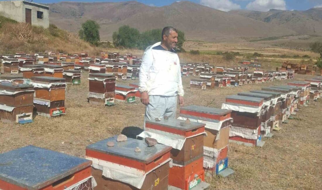 Erzurum’un Çat ilçesinde arıcılık yapan üreticiler, ayı saldırılarından dolayı büyük