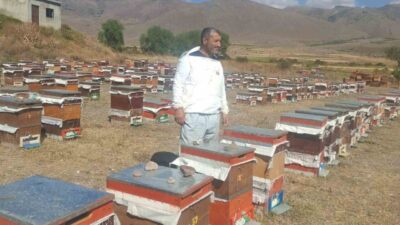Erzurum’un Çat ilçesinde arıcılık yapan üreticiler, ayı saldırılarından dolayı büyük