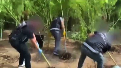 Muğla’nın Ula ilçesinde Emniyet Narkotik ekipleri tarafından bir eve düzenlenen