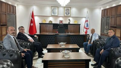 Fen, Edebiyat, Fen-Edebiyat, Dil ve Tarih-Coğrafya Fakülteleri Öğretim Programları Değerlendirme