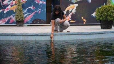 Gaziantep Doğal Yaşam Parkı’nda yeni açılan Tropikal Koi Parkı’ndaki 500