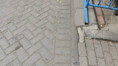 Gaziosmanpaşa’da ağızlığı olmadan gezdirilen pitbull cinsi köpek başka bir köpeğe