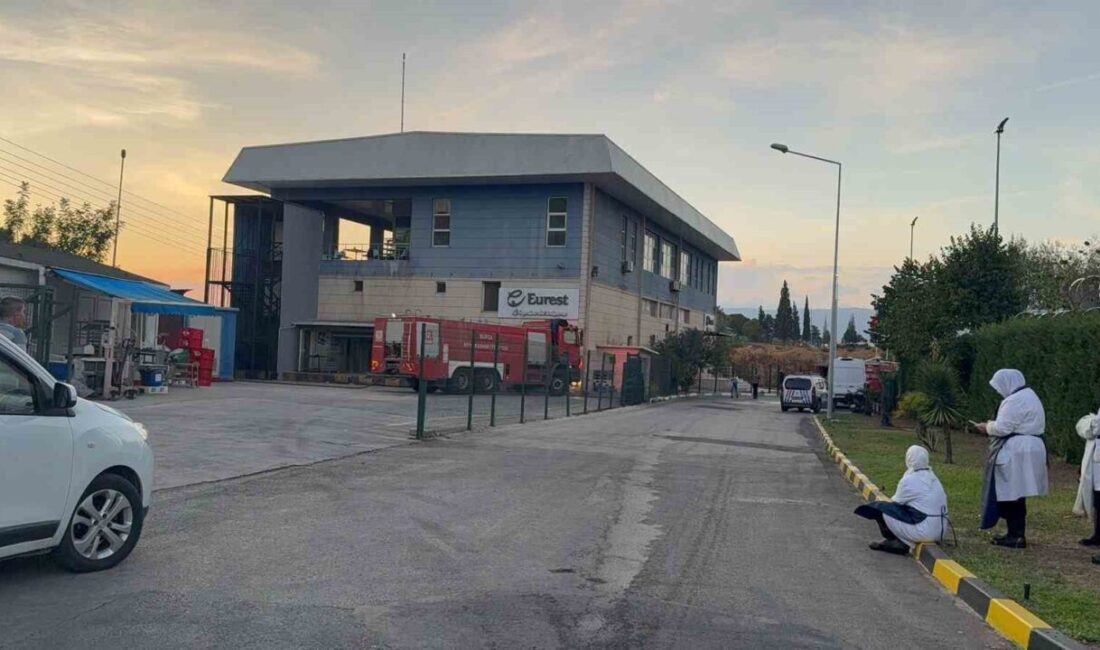 Gemlik Serbest Bölge’de çıkan yangın paniğe neden oldu Gemlik Serbest Bölge’de faaliyet gösteren bir işletmenin yemekhanesinde yangın çıktı.