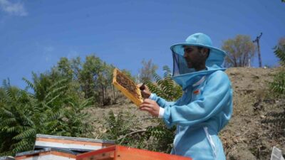 Ankara’da 150 kovanıyla yılda yaklaşık 2 ton bal üretimi yapan