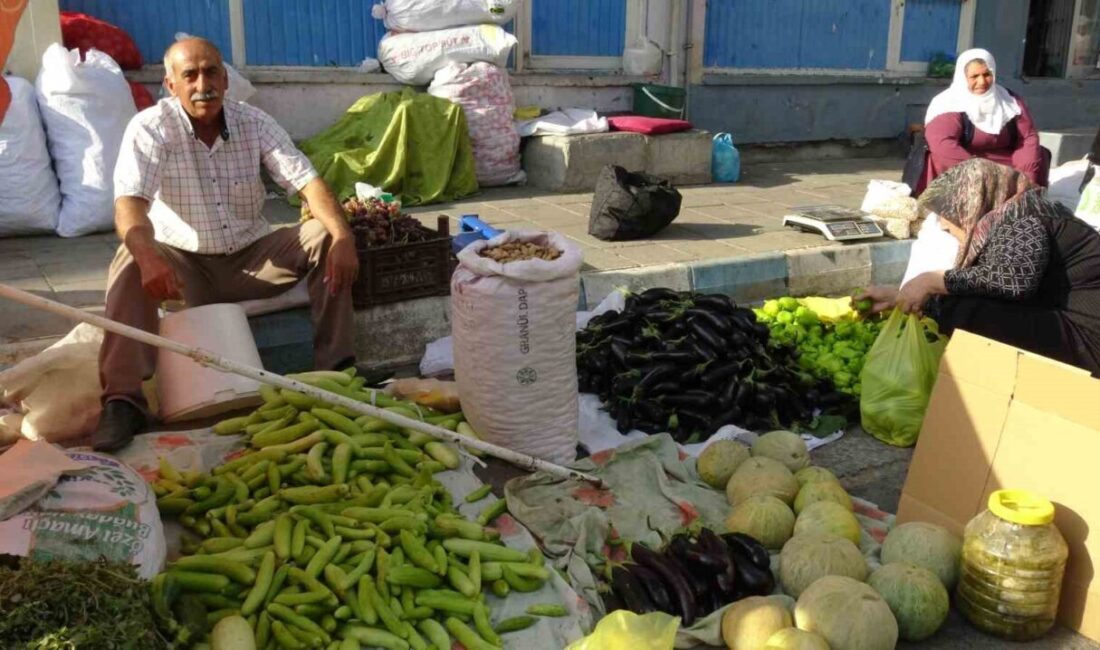 Gercüş’te organik ürünlerdeki bolluk fiyatları düşürdü Batman’ın Gercüş ilçesi ile civar köylerinde yetişen sebze ve meyvelerde