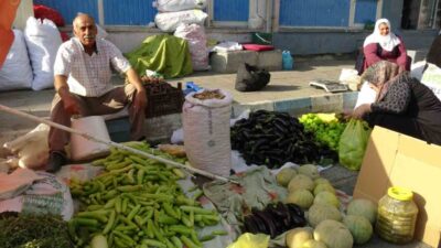 Batman’ın Gercüş ilçesi ile civar köylerinde yetişen sebze ve meyvelerde