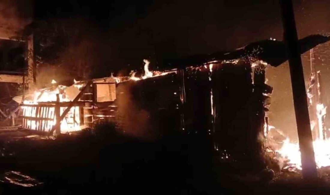 Giresun’un Tirebolu ilçesine bağlı Harkköy köyünde gece yarısı çıkan yangında
