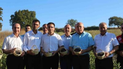 Balıkesir’in Gönen ilçesi Yeni Akçapınar Köyü’nde, Gönen Aronya tarafından 12