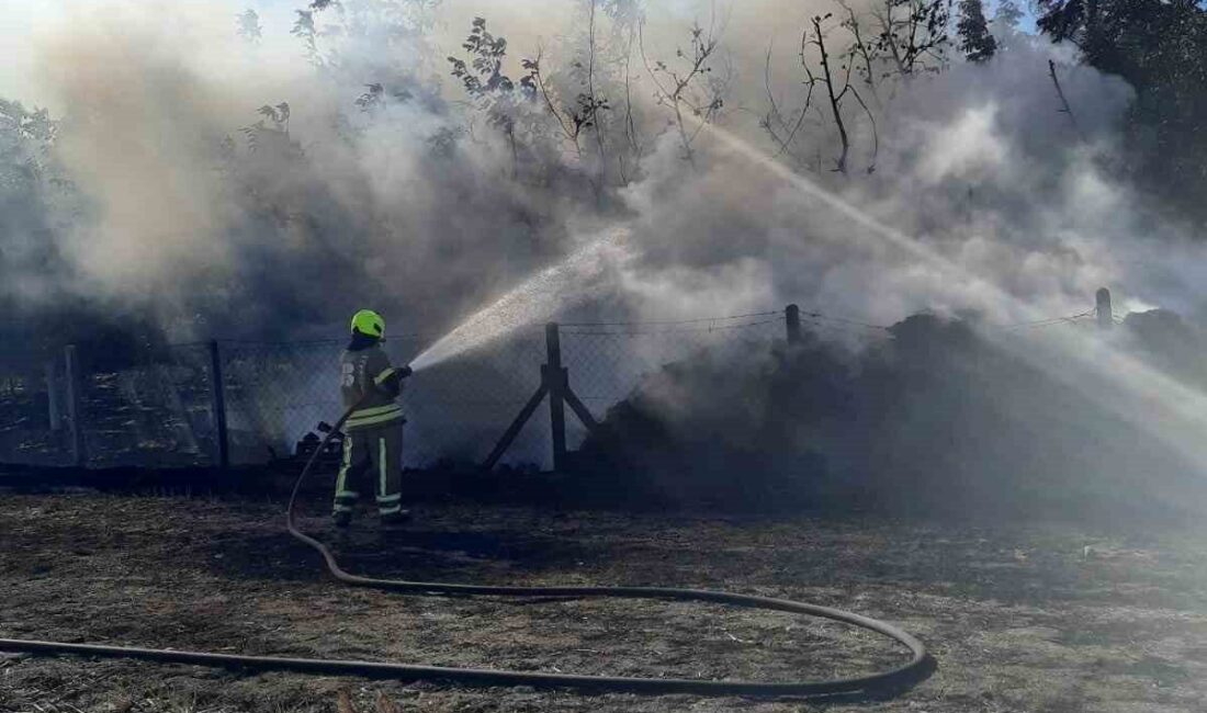 Balıkesir’in Gönen ilçesi Gündoğdu Mahallesi’nde saman balyalarında çıkan yangın, Gönen