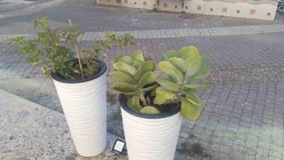 Antalya’nın Manavgat ilçesinde yoldan geçen kadın, gözüne kestirdiği saksıda bulunan