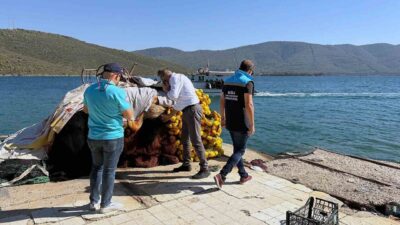 Muğla Tarım ve Orman İl Müdürlüğüne gelen ihbarlar doğrultusunda, Balıkçılık
