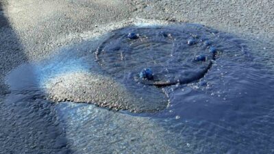 İstanbul’un Arnavutköy ilçesi Hadımköy Mahallesi’nde bulunan 75. Yıl Caddesi’nde, İSKİ’ye