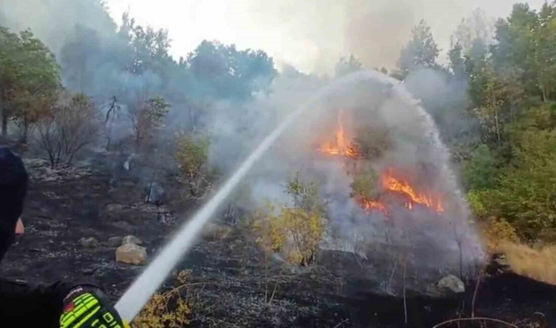 Hakkari’de 3 farklı bölgede çıkan yangın itfaiye ekiplerince söndürüldü Hakkari’de 3 farklı bölgede çıkan yangın, itfaiye ekiplerinin mücadelesiyle büyümeden