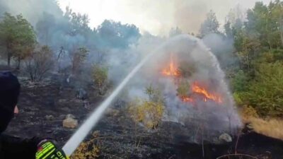 Hakkari’de 3 farklı bölgede çıkan yangın, itfaiye ekiplerinin mücadelesiyle büyümeden