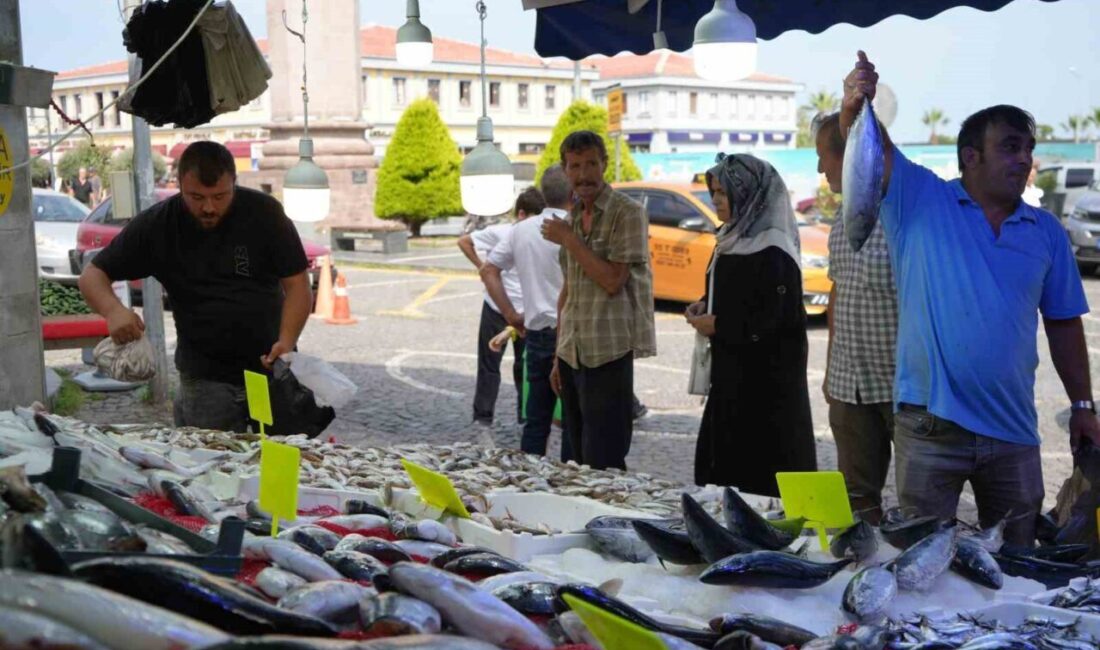 Hamsi için geri sayım başladı: Balıkçılar yolunu gözlüyor Karadeniz’de sıcak seyreden deniz suyunun soğumasını bekleyen balıkçılar, hamsinin yolunu