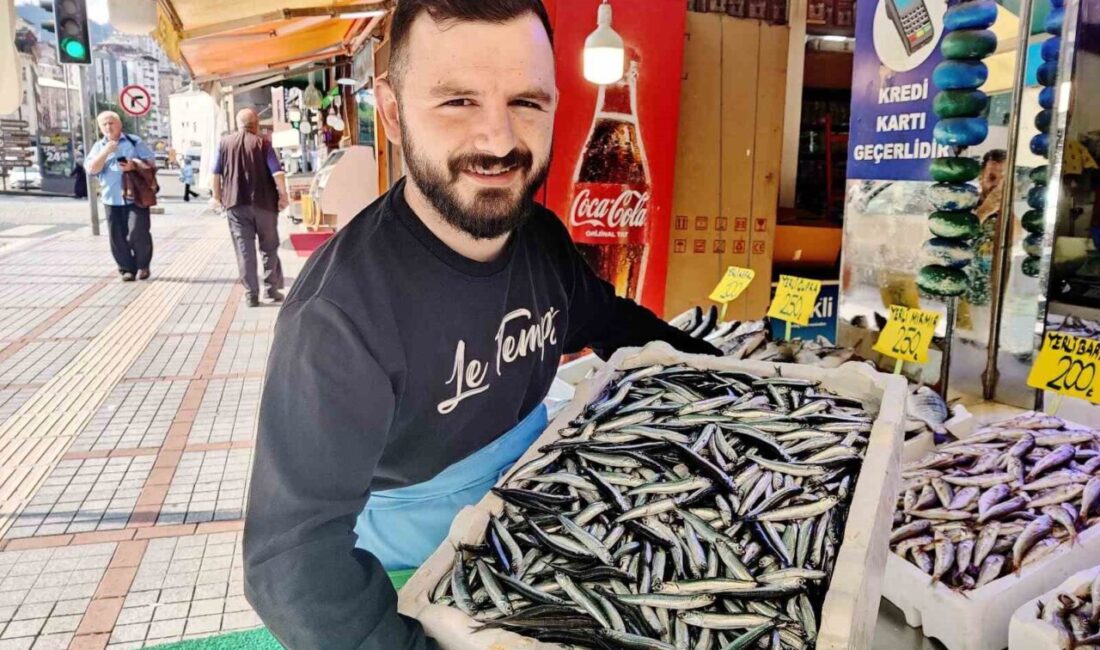 Hamsi Rize’de tezgaha düştü Rize’de ilk yerli hamsinin kilosu balıkçı tezgahlarında 200 TL’den satışa