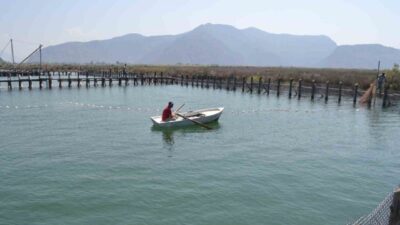 Temmuz ayında jandarma tarafından yapılan operasyonla gündeme gelen DALKO (Dalyan
