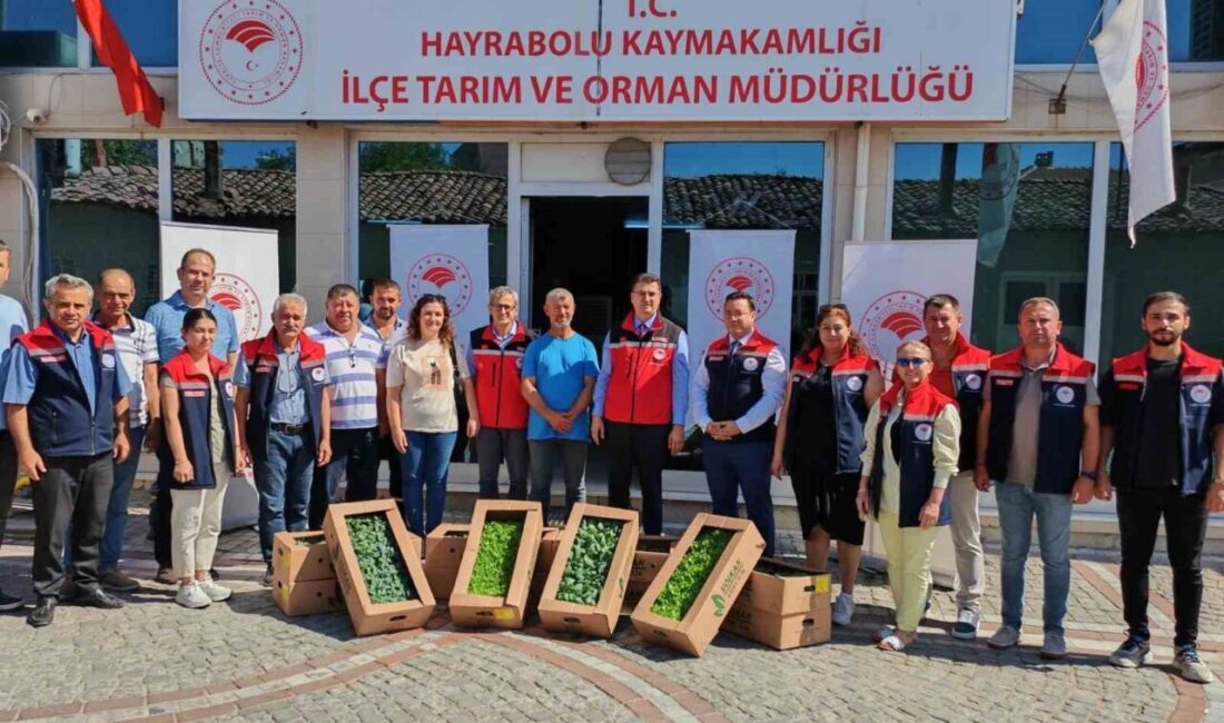Hayrabolu’da üreticilere kışlık fide desteği Tekirdağ’ın Hayrabolu ilçesinde, Tarım ve Orman Bakanlığı tarafından desteklenen TAKE