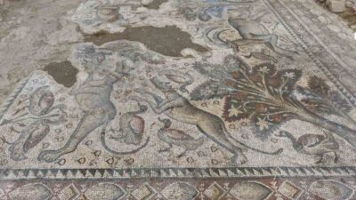 Elazığ’ın Salkaya Köyü’nde fidan dikerken tesadüfen bulunan bin 700 yıllık