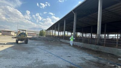 Iğdır’da il genelinde hayvan sağlığını korumak ve bulaşıcı hastalıkların önüne