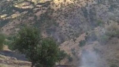 Bitlis’in Hizan ilçesinde çıkan anız yangını itfaiye ekiplerinin müdahalesiyle söndürüldü.