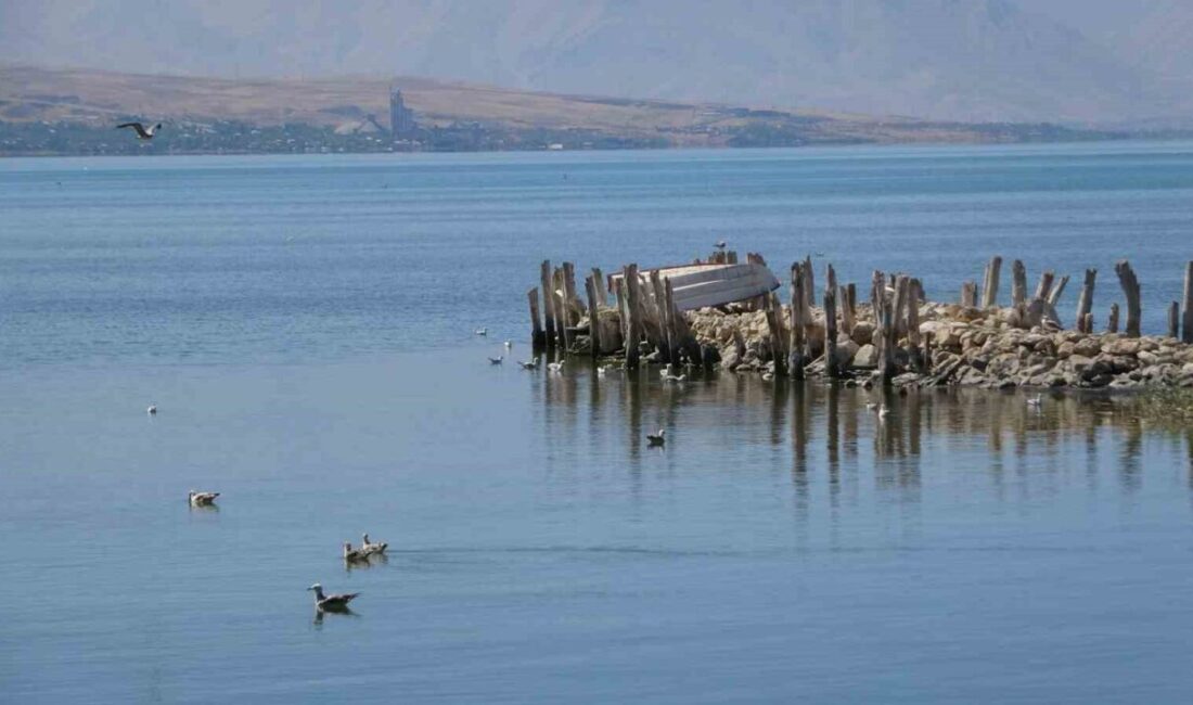 Van Yüzüncü Yıl Üniversitesi (YYÜ) Edebiyat Fakültesi Coğrafya Bölümü Öğretim