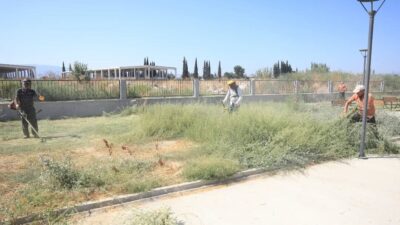 İncirliova Belediyesi, yeni eğitim dönemine hazırlık kapsamında Okullar Kampüsü’nde yabani