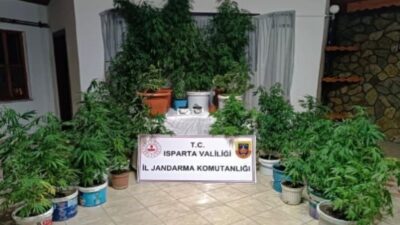 İl Jandarma Komutanlığı ekiplerince son bir ayda düzenlenen 5 operasyonda,