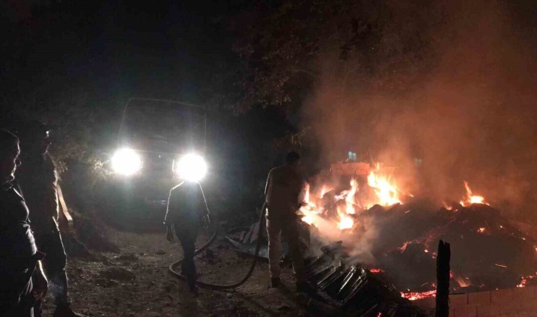 Balıkesir’in İvrindi ilçesinde sabaha karşı çıkan yangında hayvan dolu dam