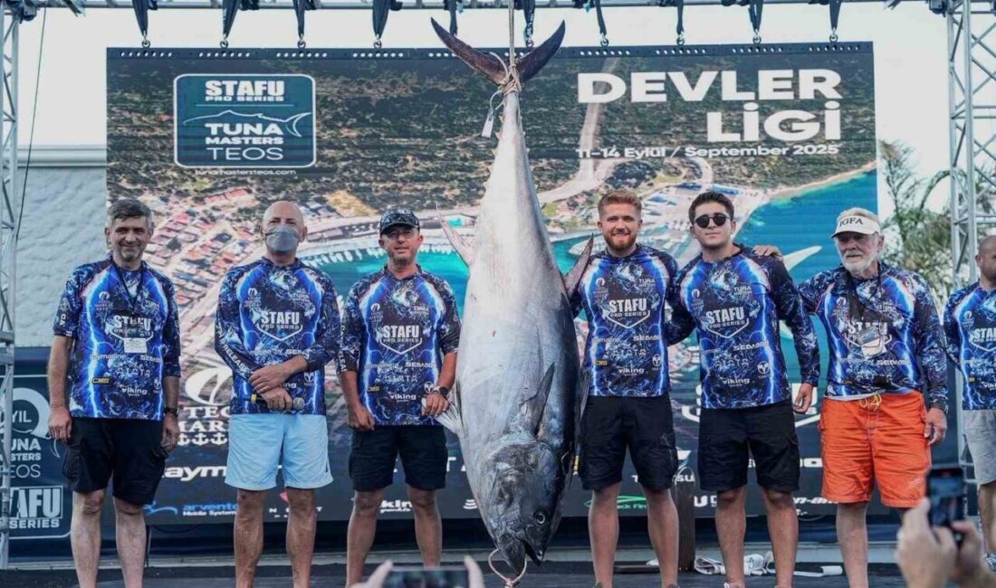 İzmir’in Seferihisar ilçesinde düzenlenen yarışmasında, yarışmacıların oltasına takılan 185 kilogram