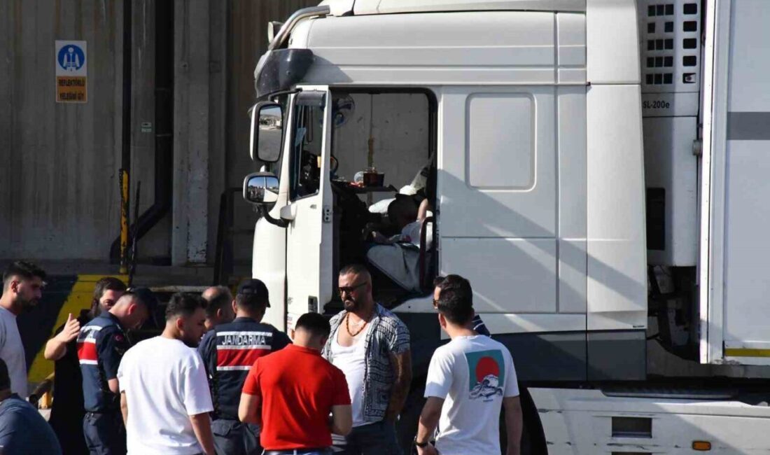 İzmir’de tır sürücüsü araç içerisinde ölü bulundu İzmir’de bir zincir markete ait ürünleri taşıyan tır sürücüsü, park