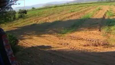 İzmir’in Torbalı ilçesinde, pilot Berfu Hatipoğlu’nun hayatını kaybettiği eğitim uçağının