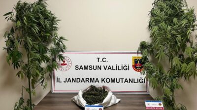 Samsun’da jandarma tarafından düzenlenen uyuşturucu operasyonunda 3 kilo 237 gram