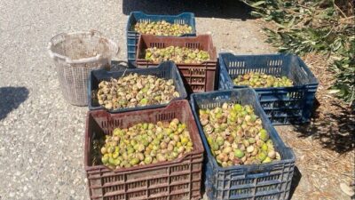 Manisa’nın Şehzadeler ilçesinde devriye gezen ekipler, 2 ayrı kişiye ait