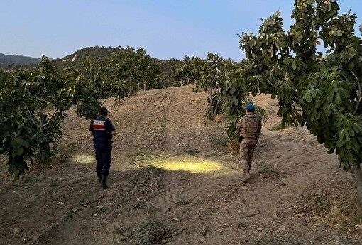 Jandarmadan incir nöbeti Aydın’da jandarma ekipleri ürün hırsızlığının önlenmesi kapsamında incir bahçelerinde devriye