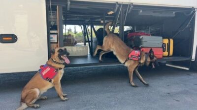 Aydın’ın Söke ilçesinde jandarma ekiplerince uyuşturucu madde kullanımı ve ticaretine