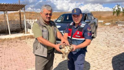 Çorum’un Alaca ilçesinde jandarma devriye ekiplerinin yol kenarında bitkin halde