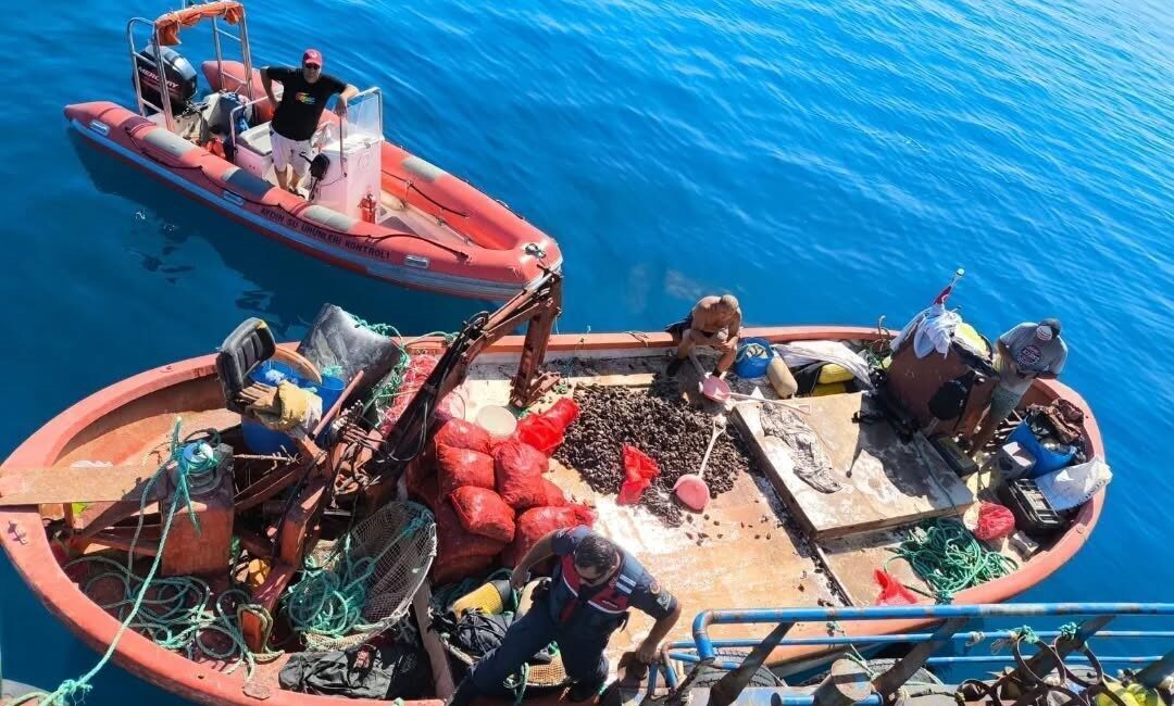Aydın’da ruhsatı olmayan gemi ile avlanan 600 kilogram midye tekrar