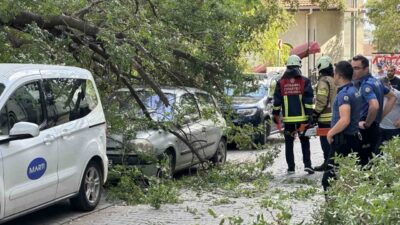 Kadıköy’de bir ağacın dalı koparak seyir halindeki bir otomobilin üzerine